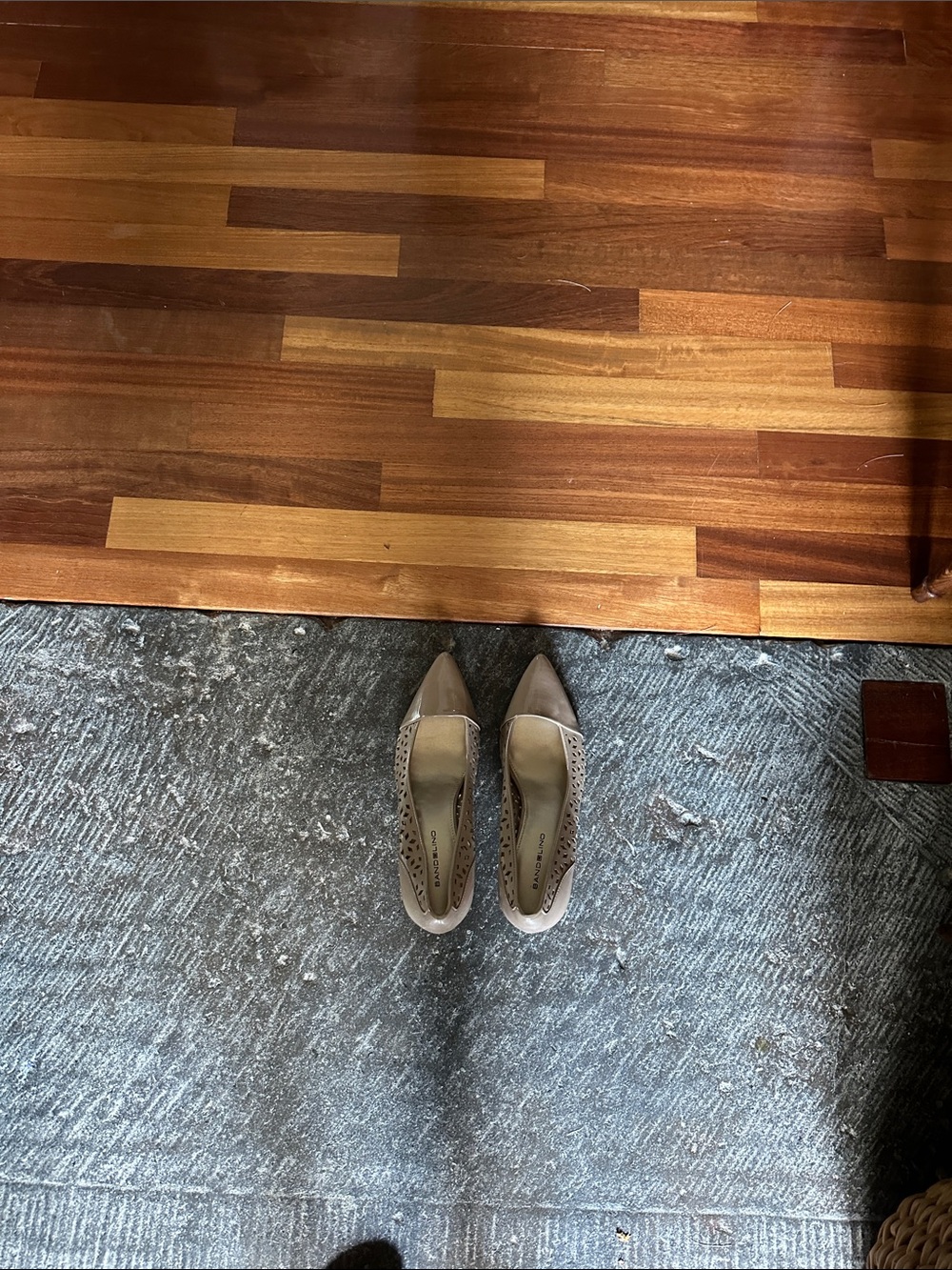 Bandolino Pointed Toe Pumps in Taupe